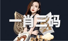 <strong>经地方纪委常委会会议研究并报中</strong>